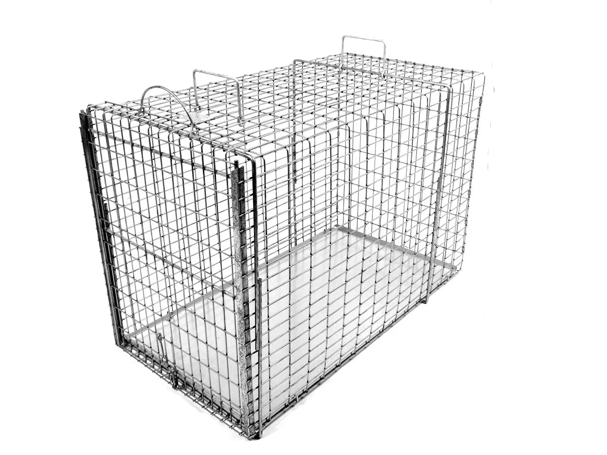 Transfer Cage, Average Dog Size