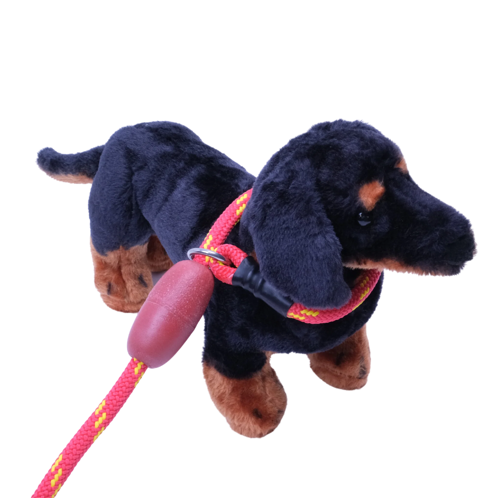 Floating RescuePro Leash