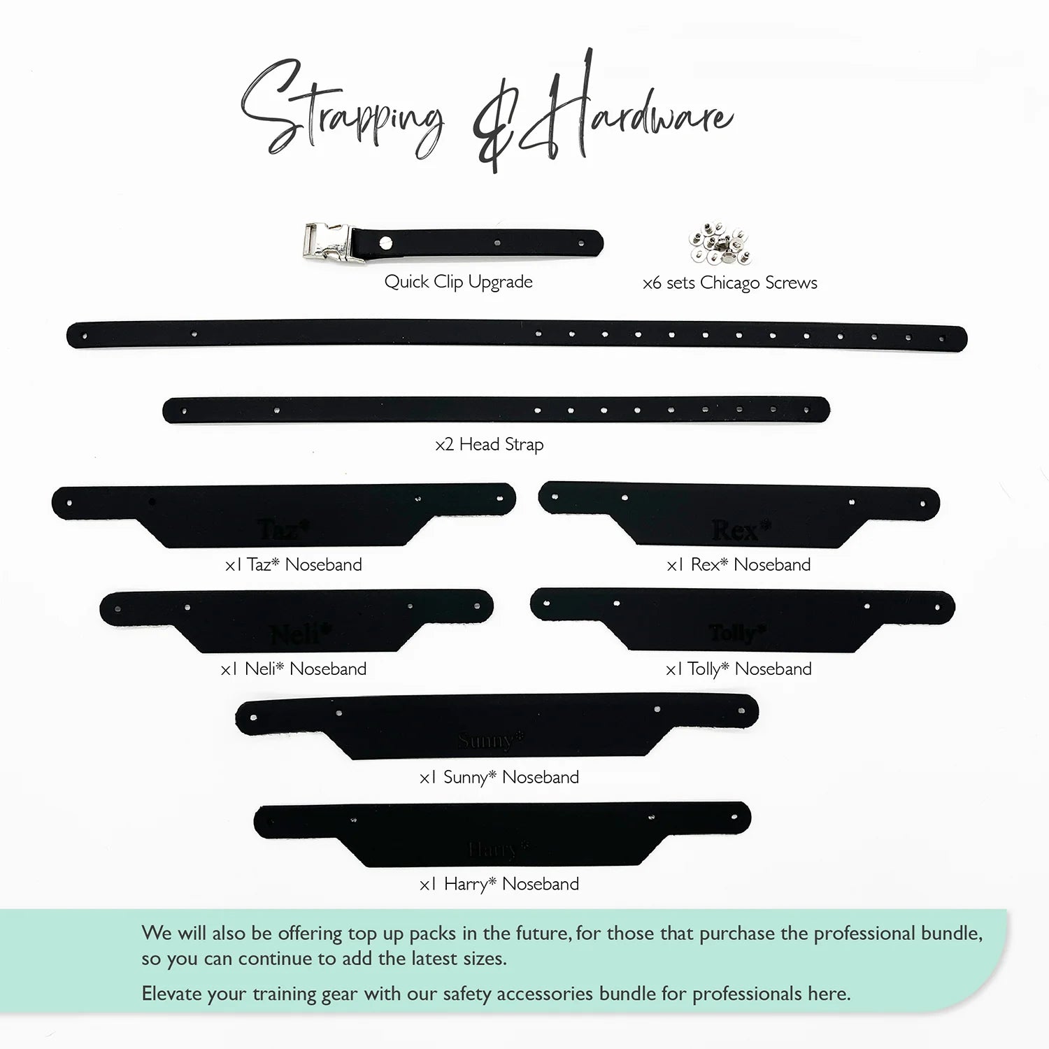 The Muzzle Movement Canine Professional Size Bundle, Multi-Colored