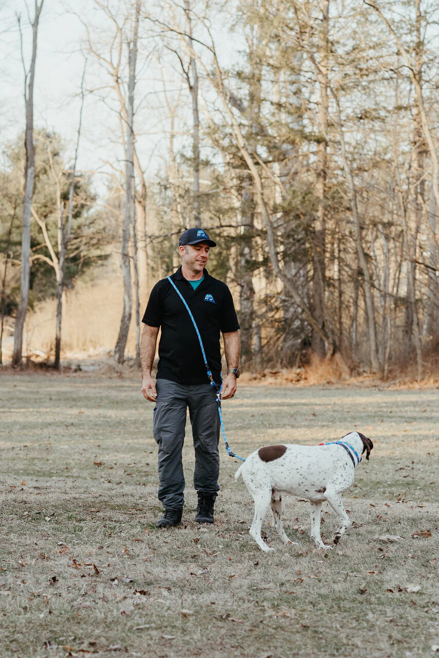 DogWalker Pro Leash, 7'
