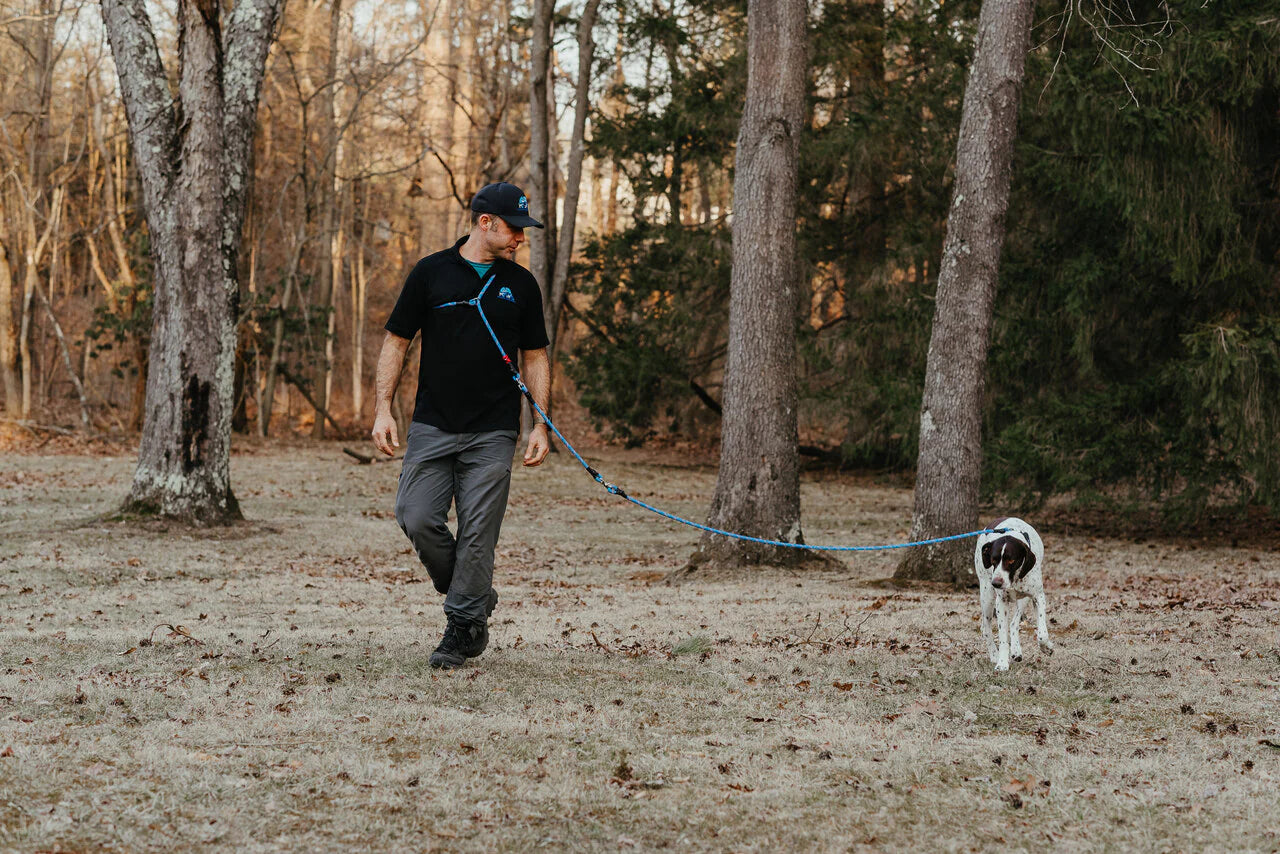 DogWalker Pro Leash, 7'