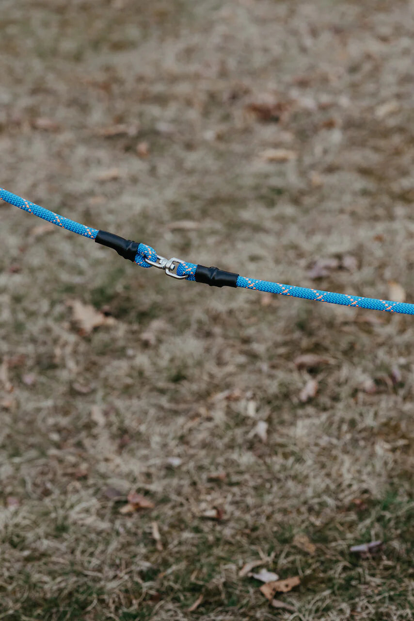 DogWalker Pro Leash, 7'