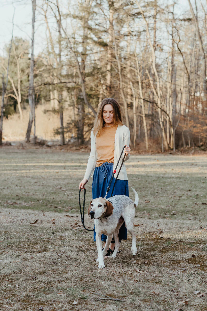 Dual Control Leash, 7'