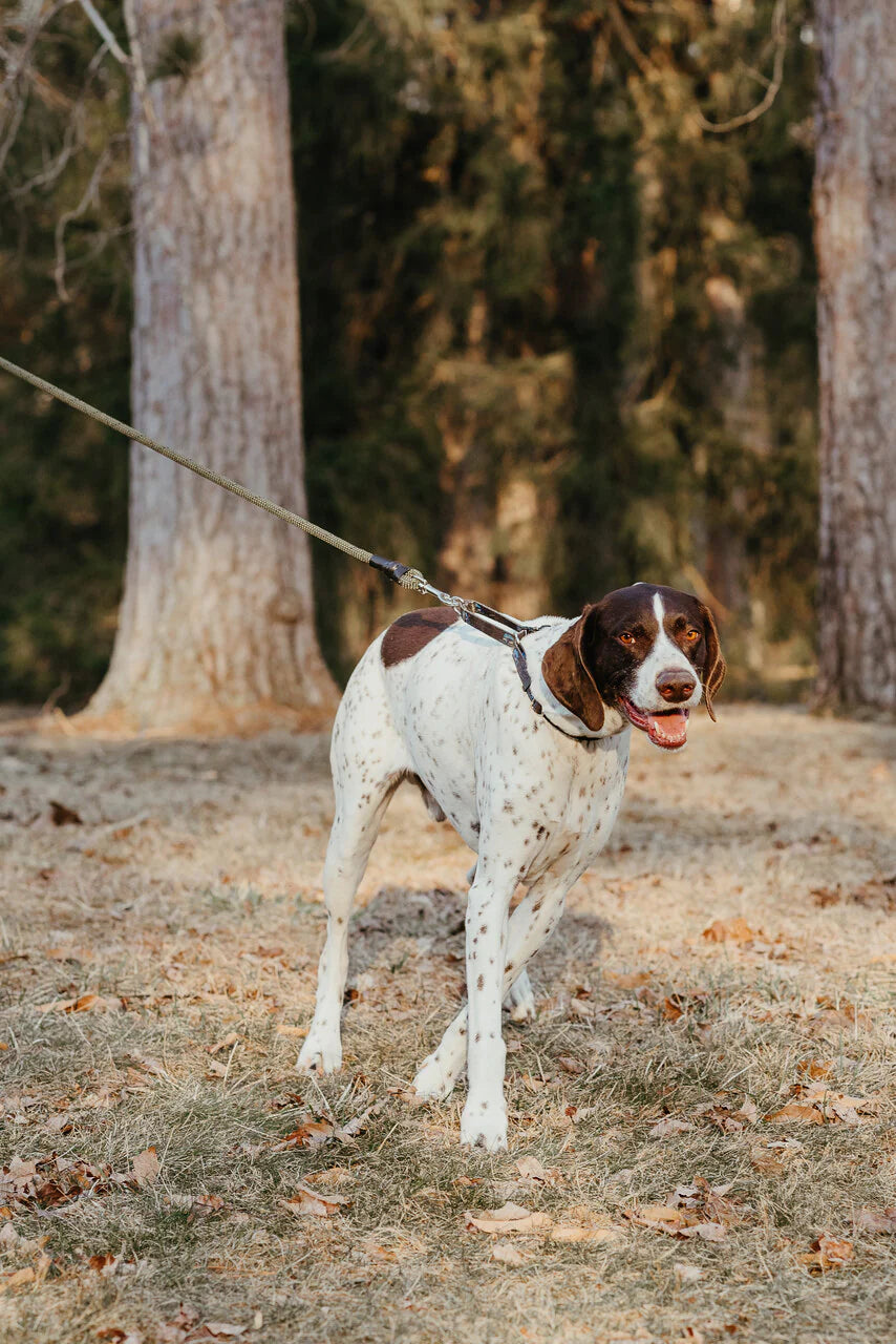 Essential Rope Dog Leash - Large