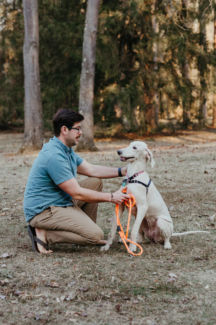 Essential Rope Dog Leash - Large