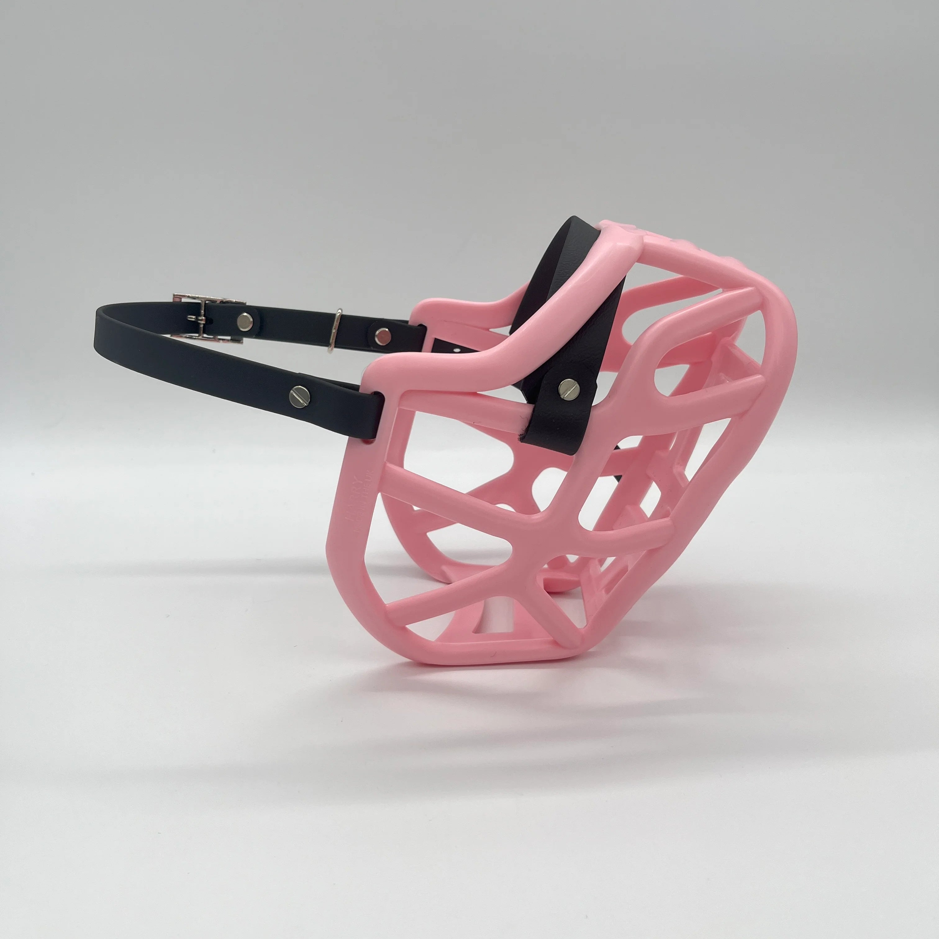 The Muzzle Movement Canine Professional Size Bundle, Multi-Colored