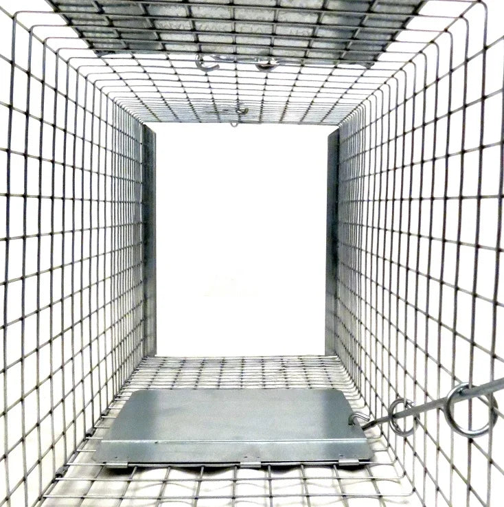 10" x 12" Clear Trap Door