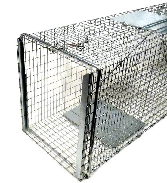10" x 12" Clear Trap Door