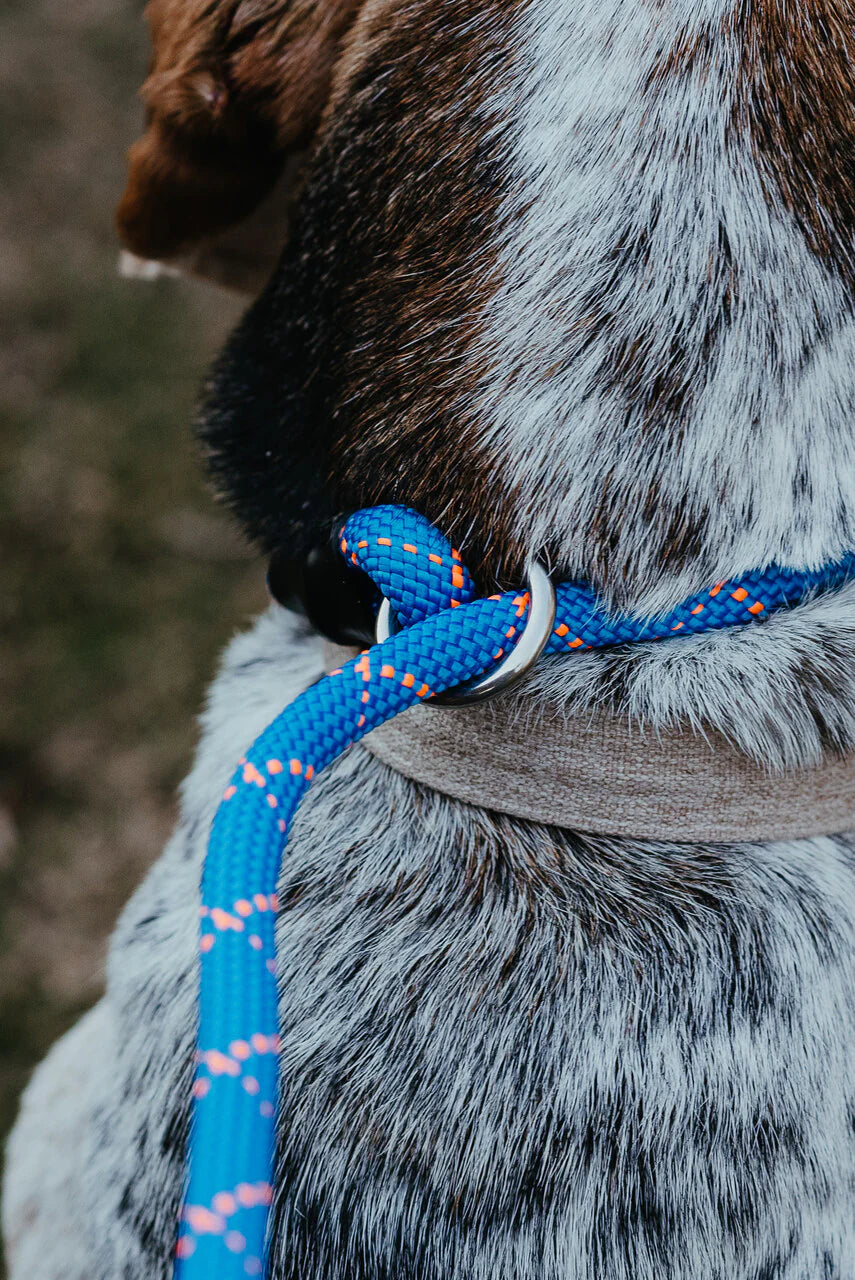 Rope Slip Leash - Large