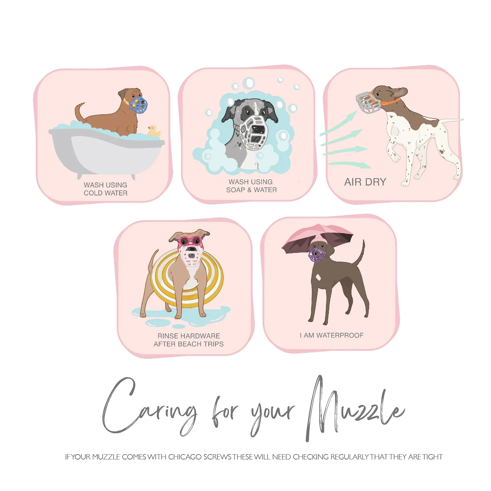 The Muzzle Movement Canine Professional Size Bundle, Multi-Colored