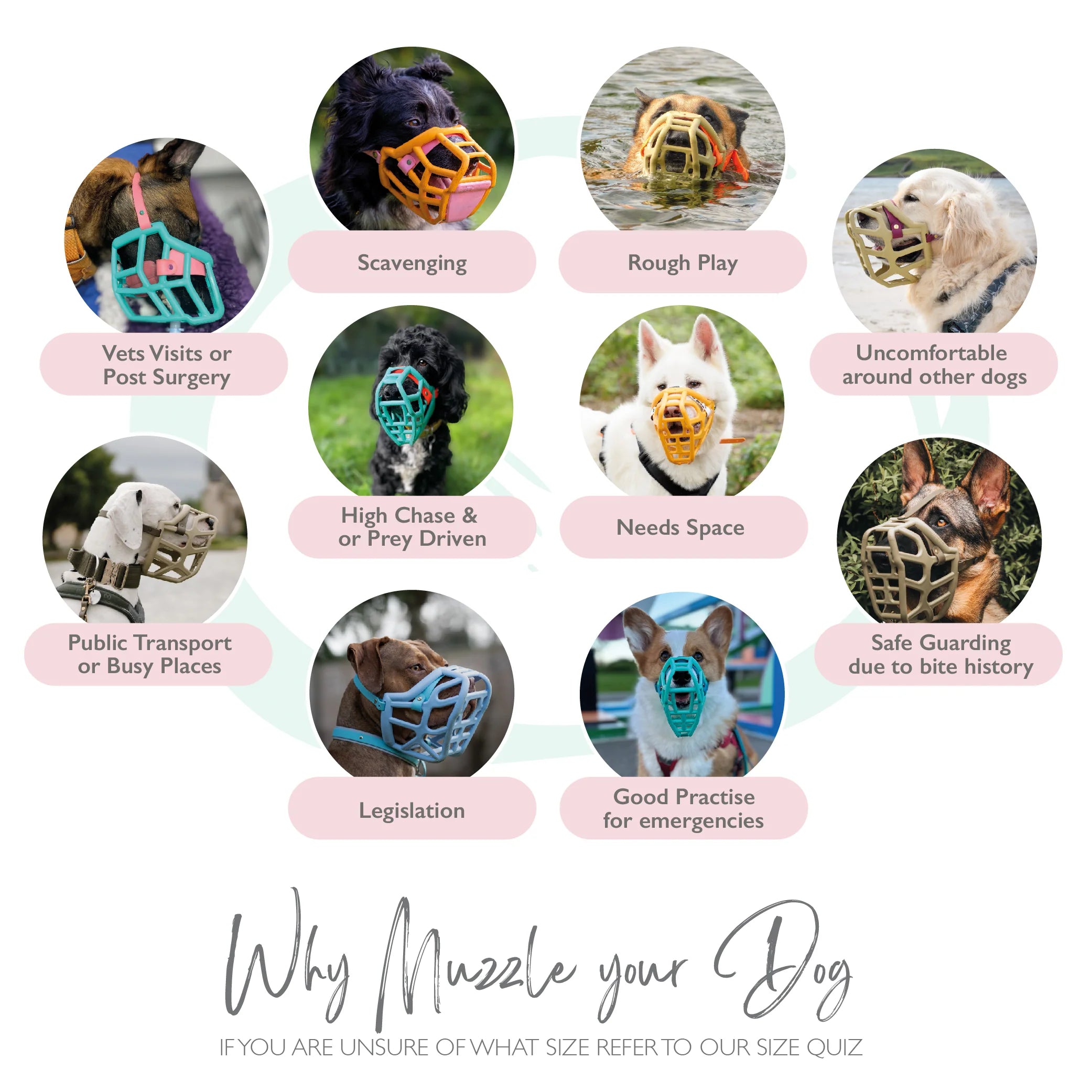 The Muzzle Movement Canine Professional Size Bundle, Multi-Colored