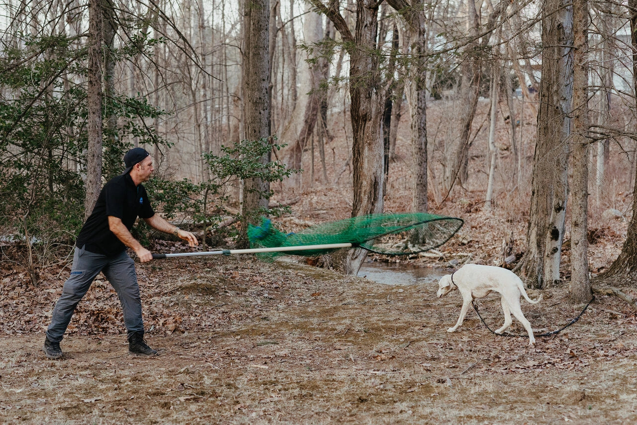 Close-up of custom dog muzzle with mesh sides, leather straps, and gold hardware, designed for safety and comfort.