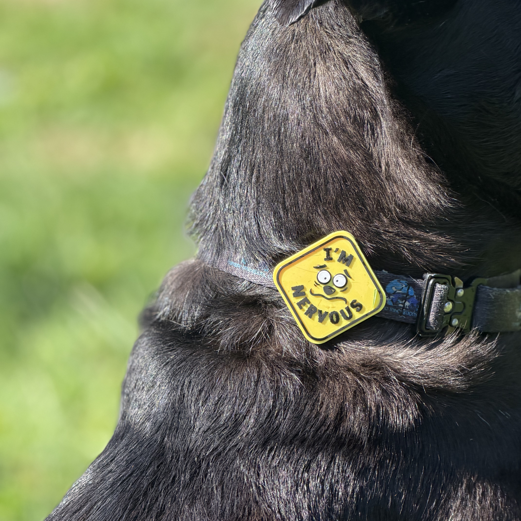 Muzzle Accessories