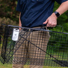 Animal Traps