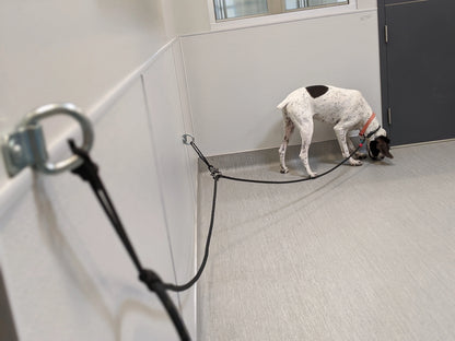 Behavior Leash System