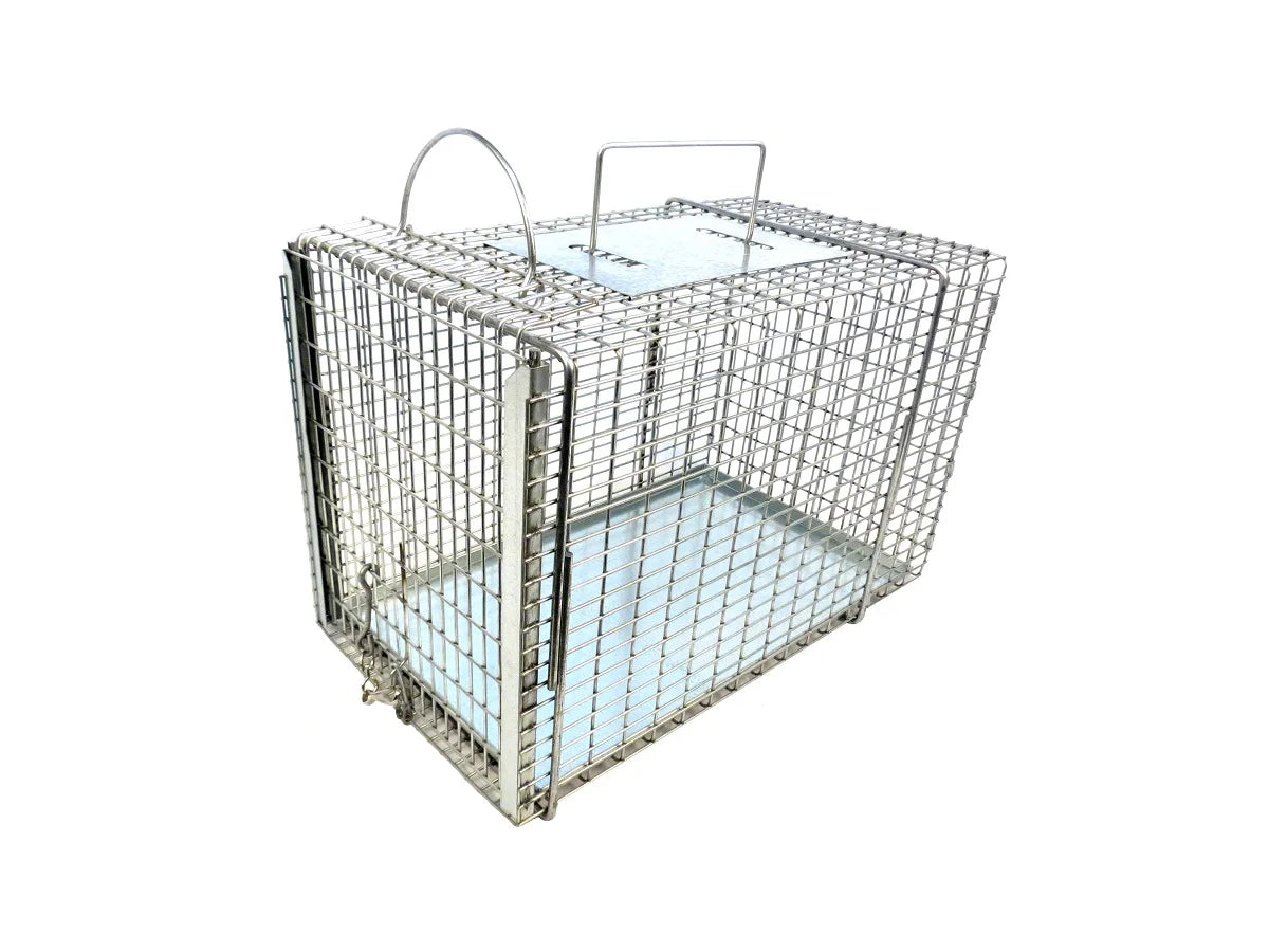 305SS catch pole with red handle and stainless shaft, designed for animal restraint, shown on white background in full length.
