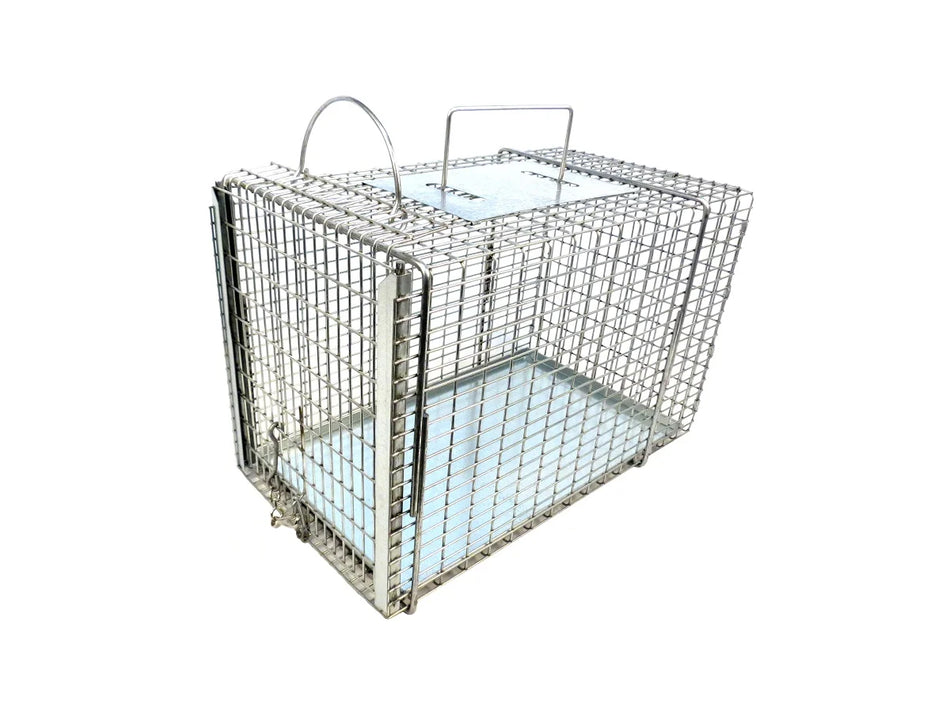 305SS catch pole with red handle and stainless shaft, designed for animal restraint, shown on white background in full length.