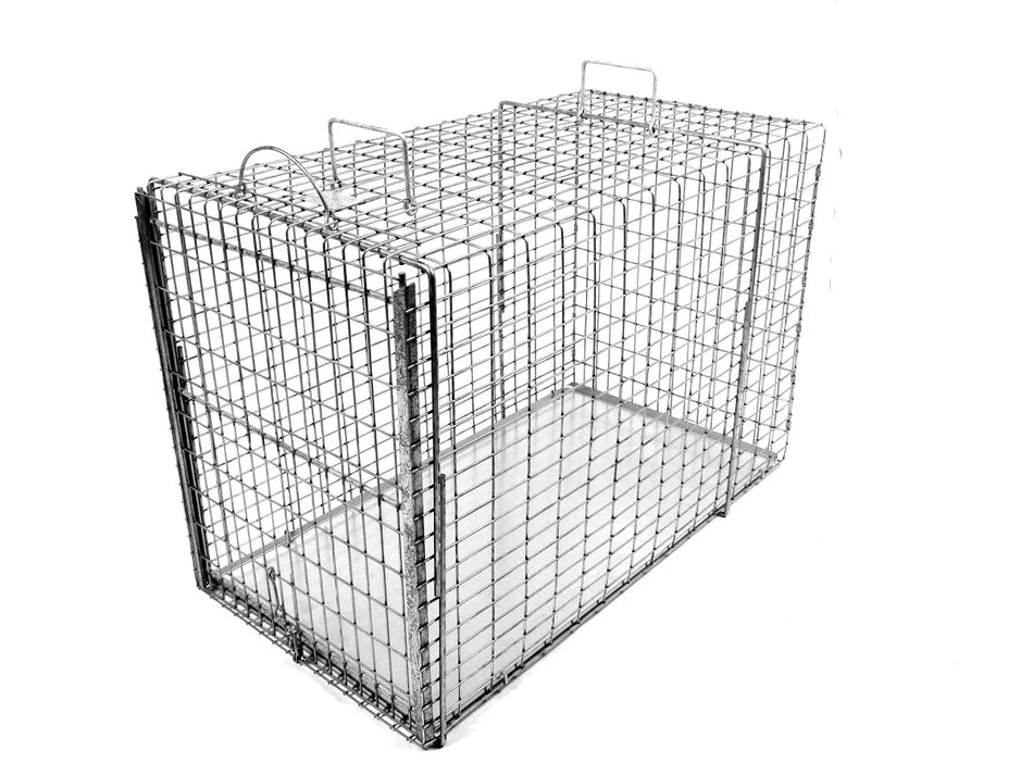 Transfer Cage, Average Dog Size