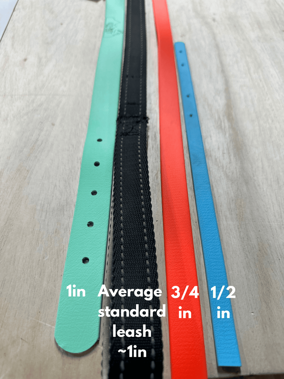 3/4" 20ft Biothane Long Line *