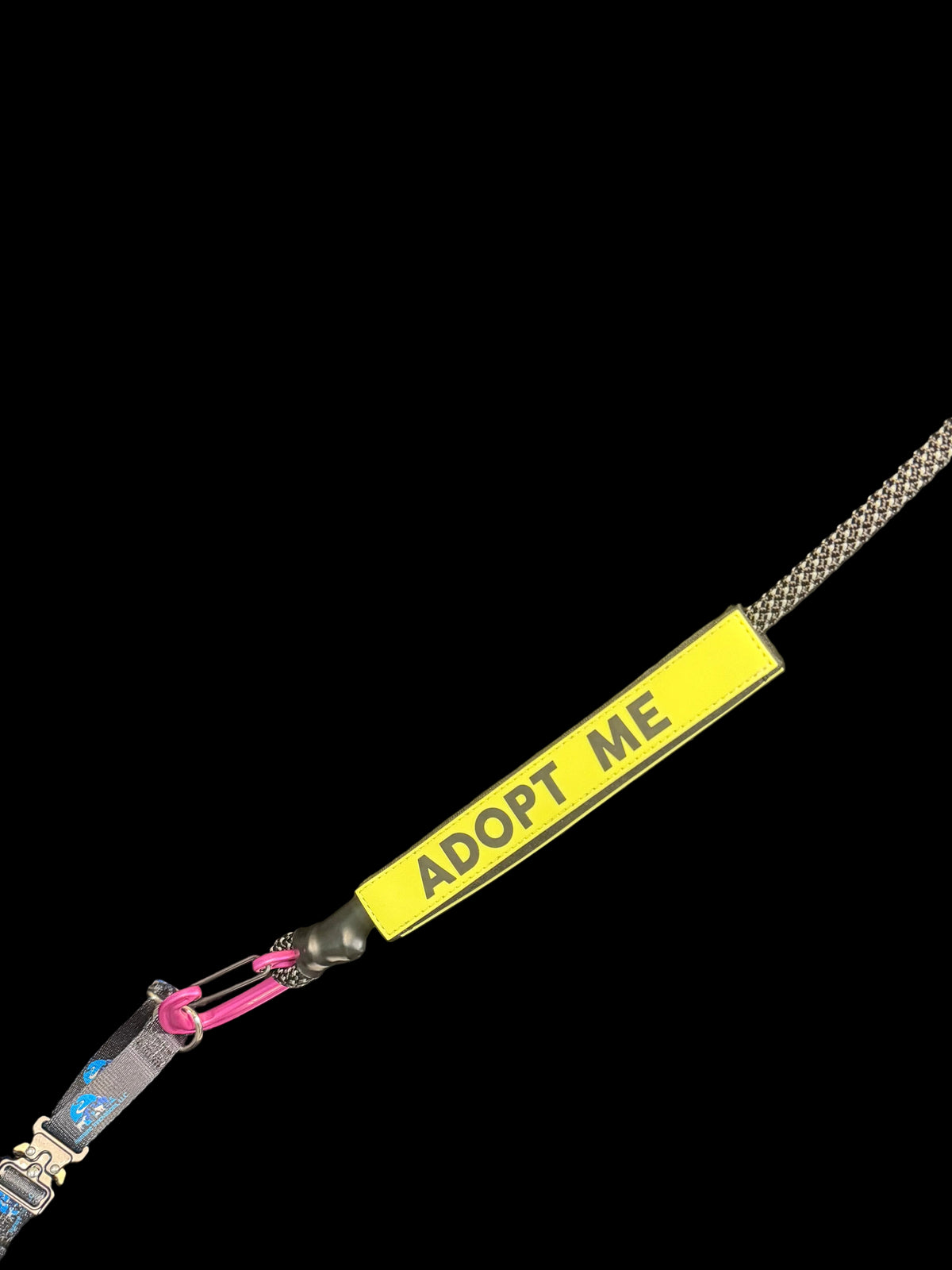 Dog leash with a yellow tag on a dark surface