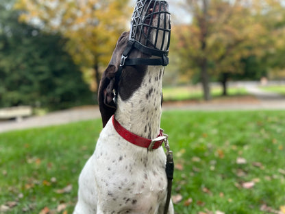 Humane Innovations Basket Muzzle Set