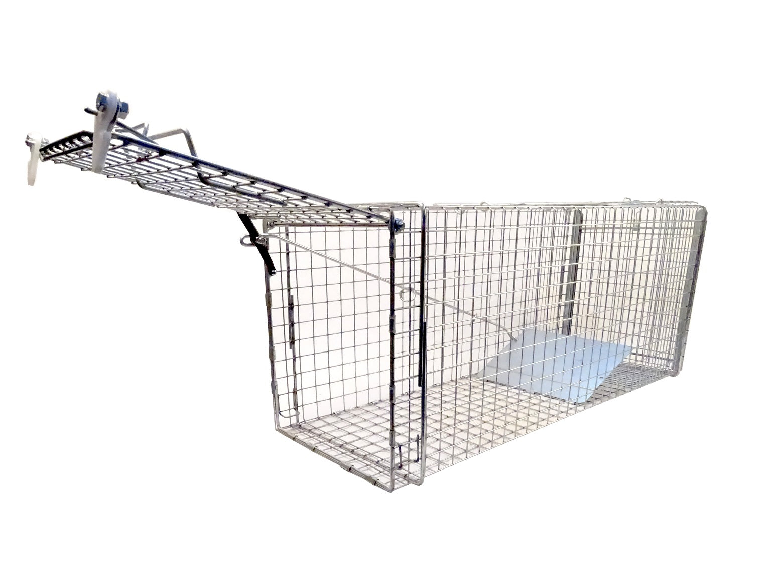 AS36 Auto-Set Cat Trap