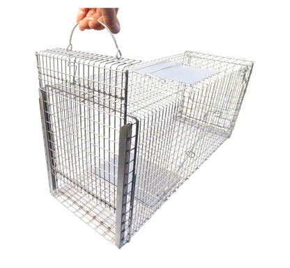 AS36 Auto-Set Cat Trap
