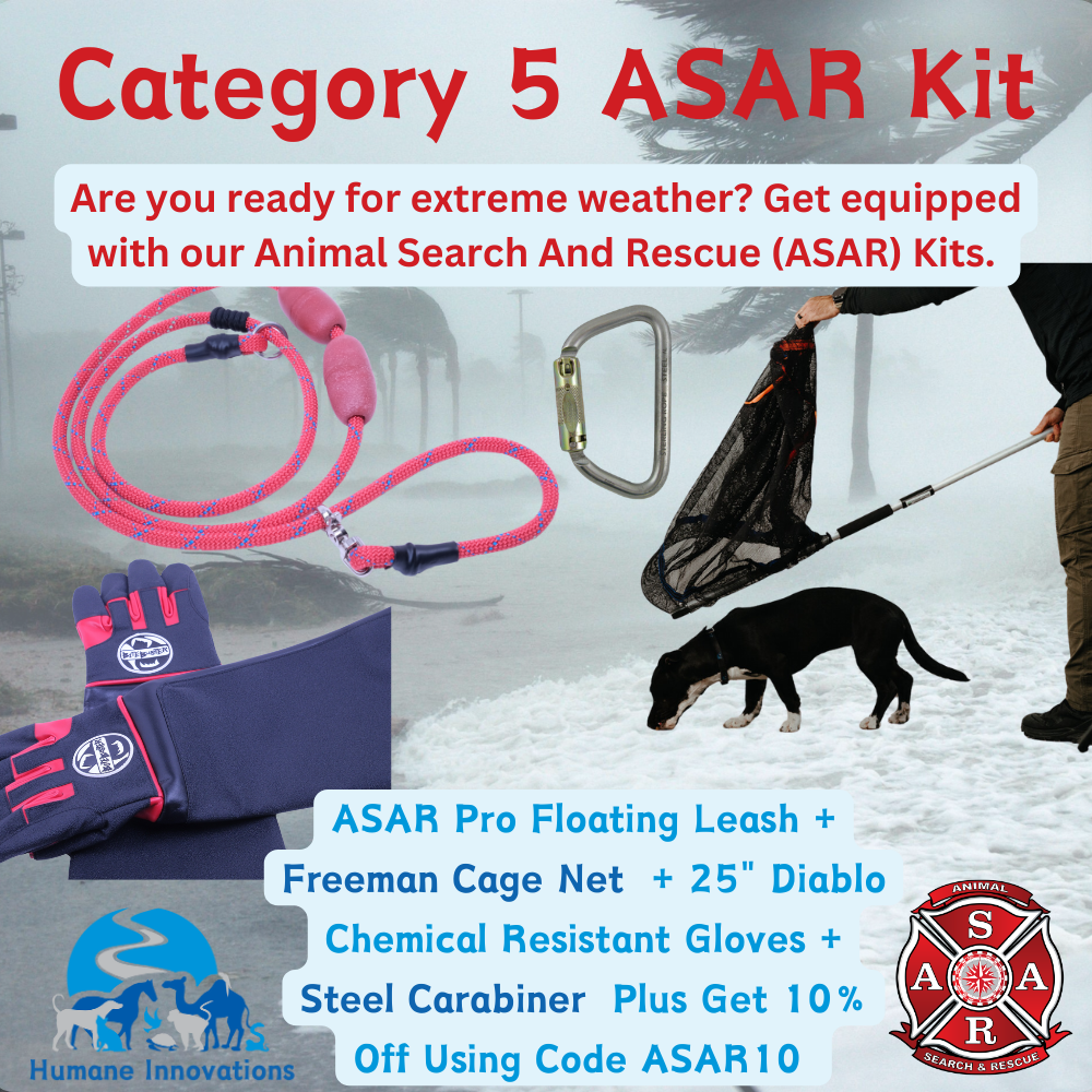 ASAR Category 5