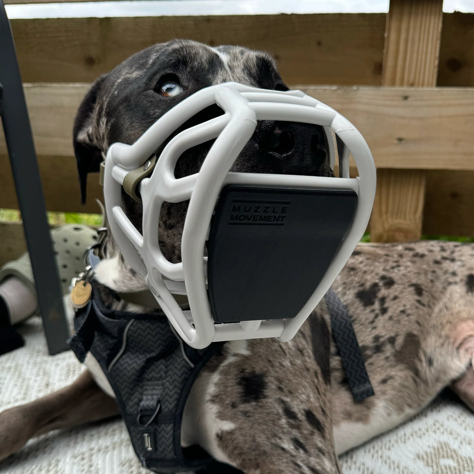 Scavenger Guard for Dog Muzzle