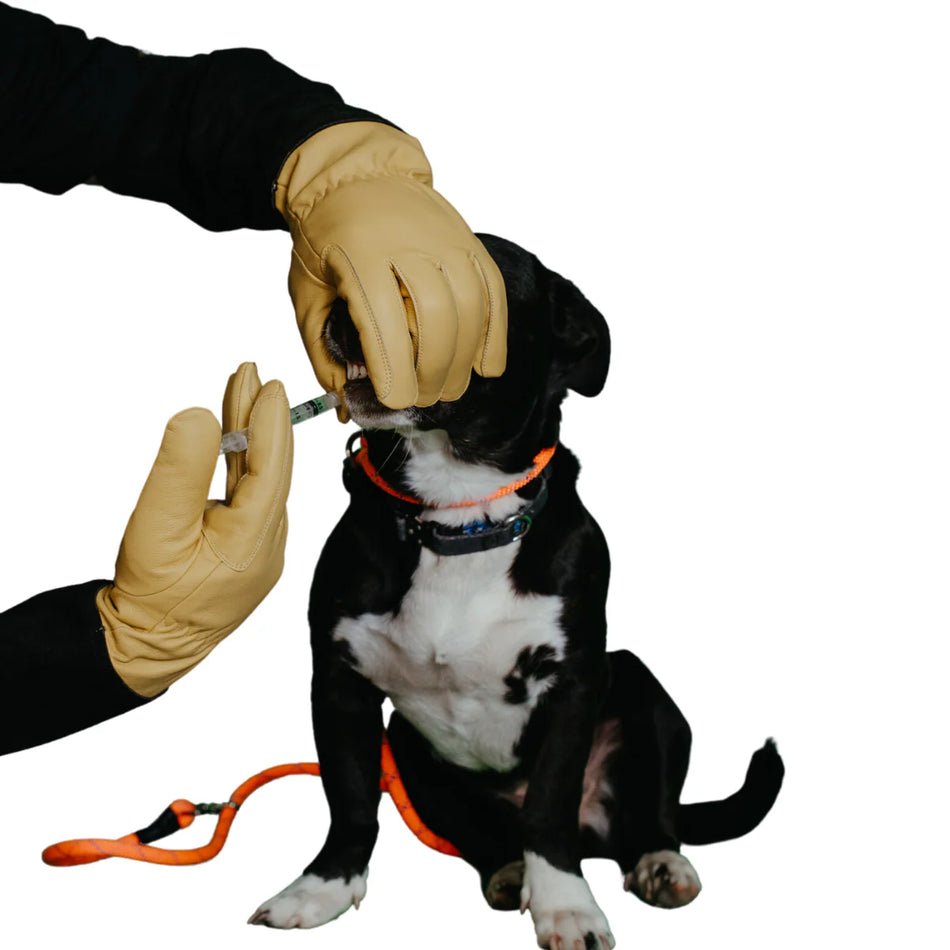 Bite Vanquisher Pro muzzle in black with adjustable straps, designed by Humane Innovations for safe and secure dog handling.