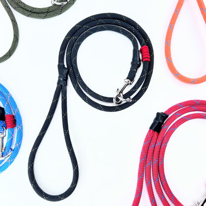 Dual Control Leash, 7'