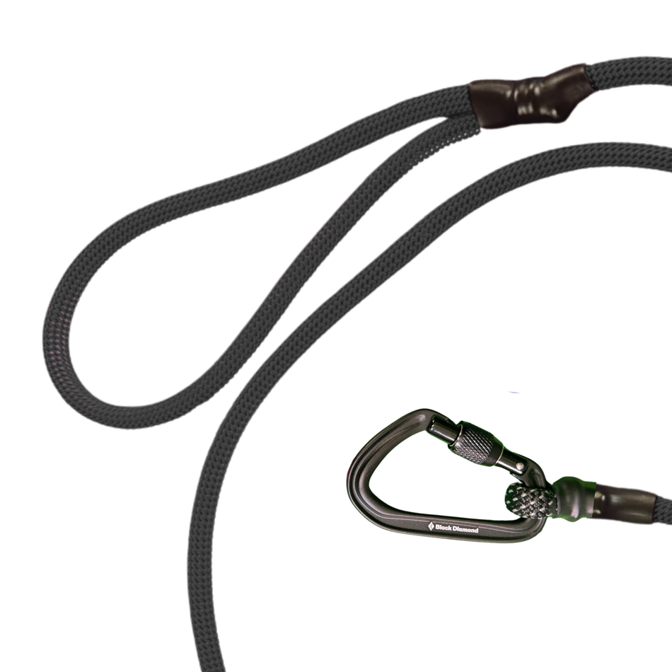 Black Diamond Summit Screw Gate Dog Leash