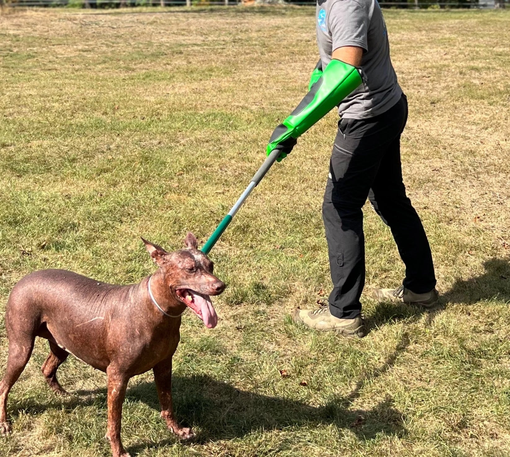 Control pole with red handle and silver shaft placed on a concrete surface, used for safe animal restraint in the field.