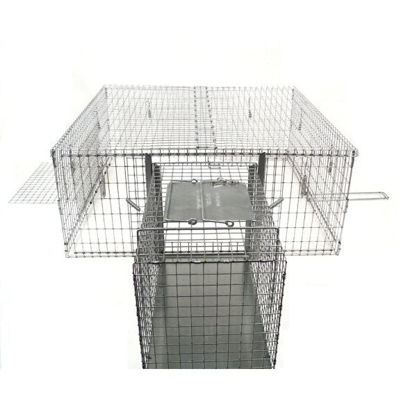 DT1 - The Drop Trap