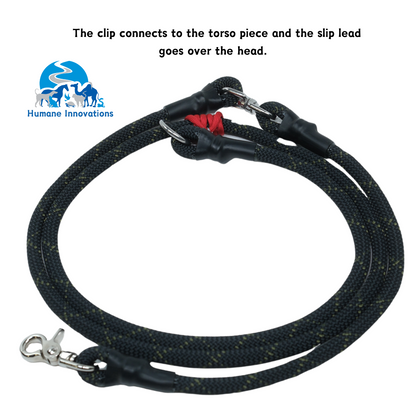 DogWalker Pro Leash, 7'