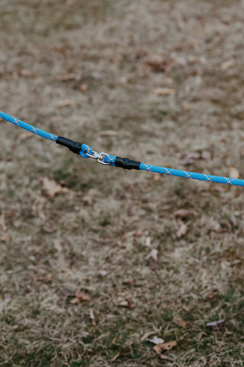DogWalker Pro Leash, 7'