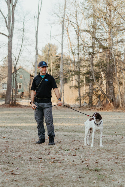 DogWalker Pro Leash, 7'