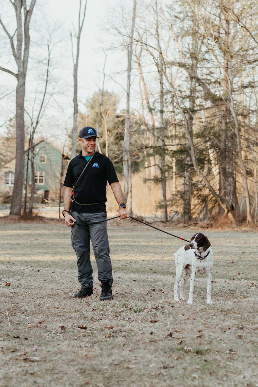 DogWalker Pro Leash, 7'
