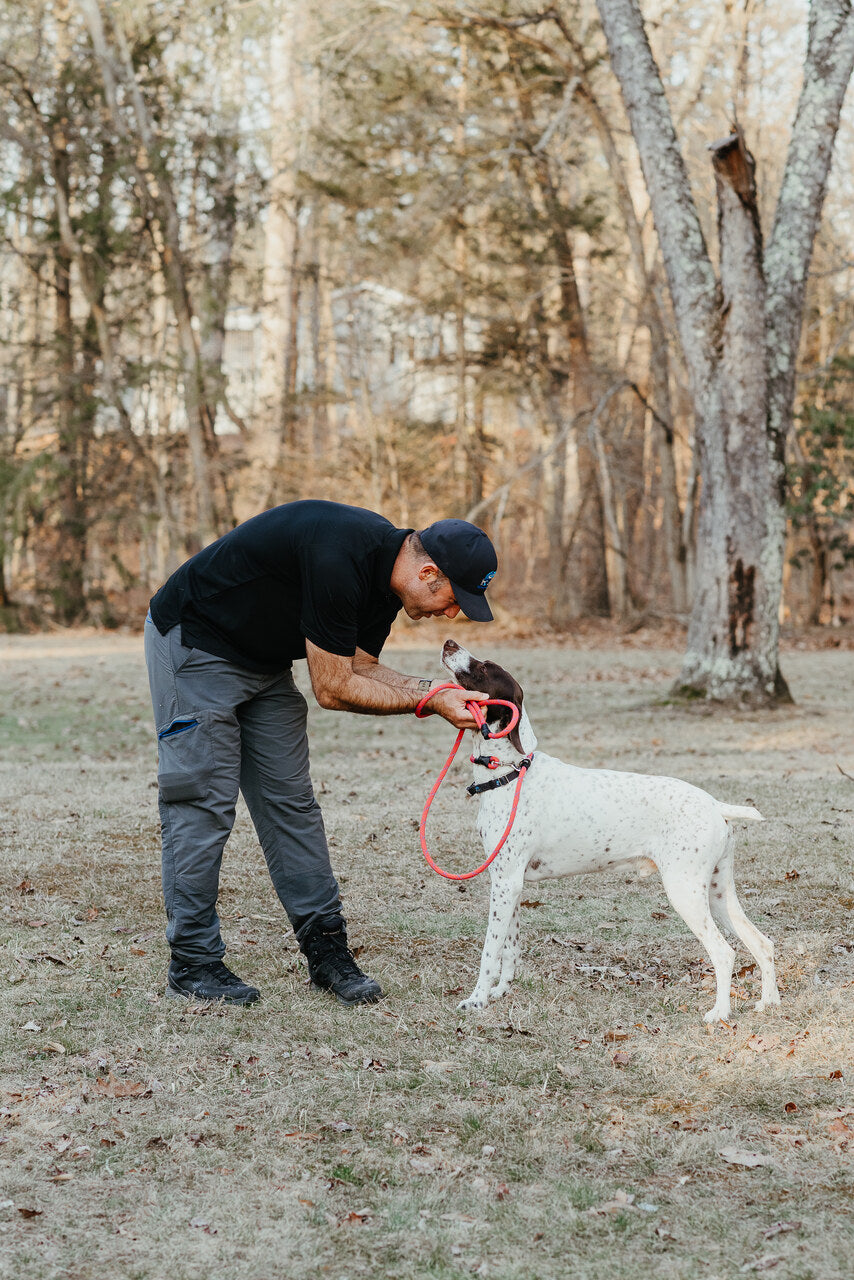 Dual Control Leash, 7'