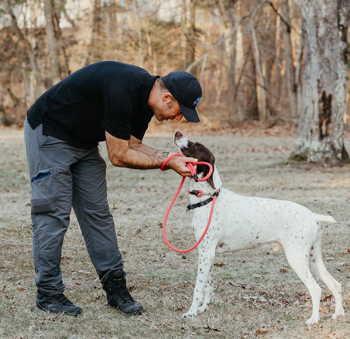 Dual Control Leash, 7'
