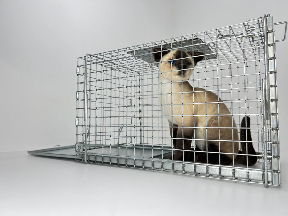 Rescue worker crouched beside open animal trap, inspecting and preparing equipment for safe wildlife relocation.