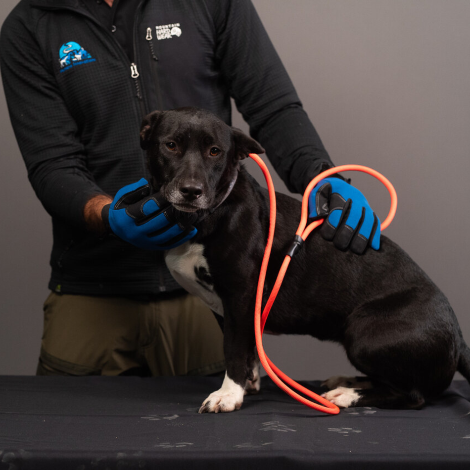 Essential Rope Dog Leash - Medium