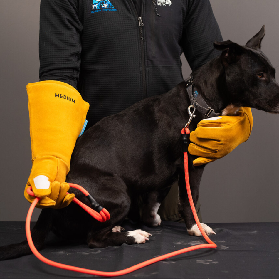 Essential Rope Dog Leash - Medium