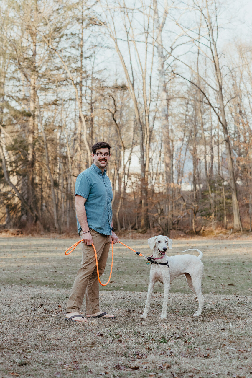 Everyday Leash, 6'