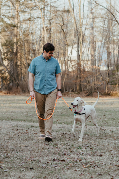 Everyday Leash, 6'