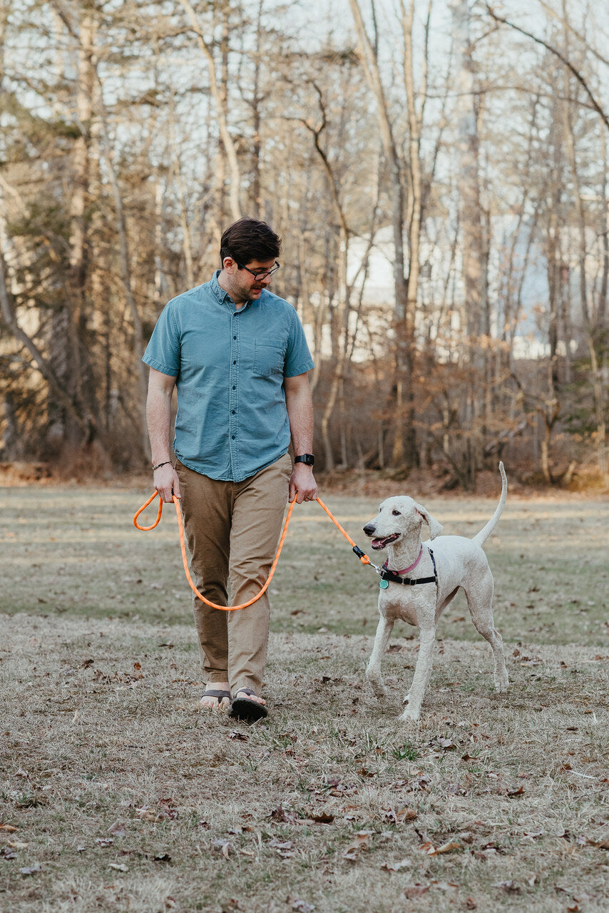 Everyday Leash, 6'