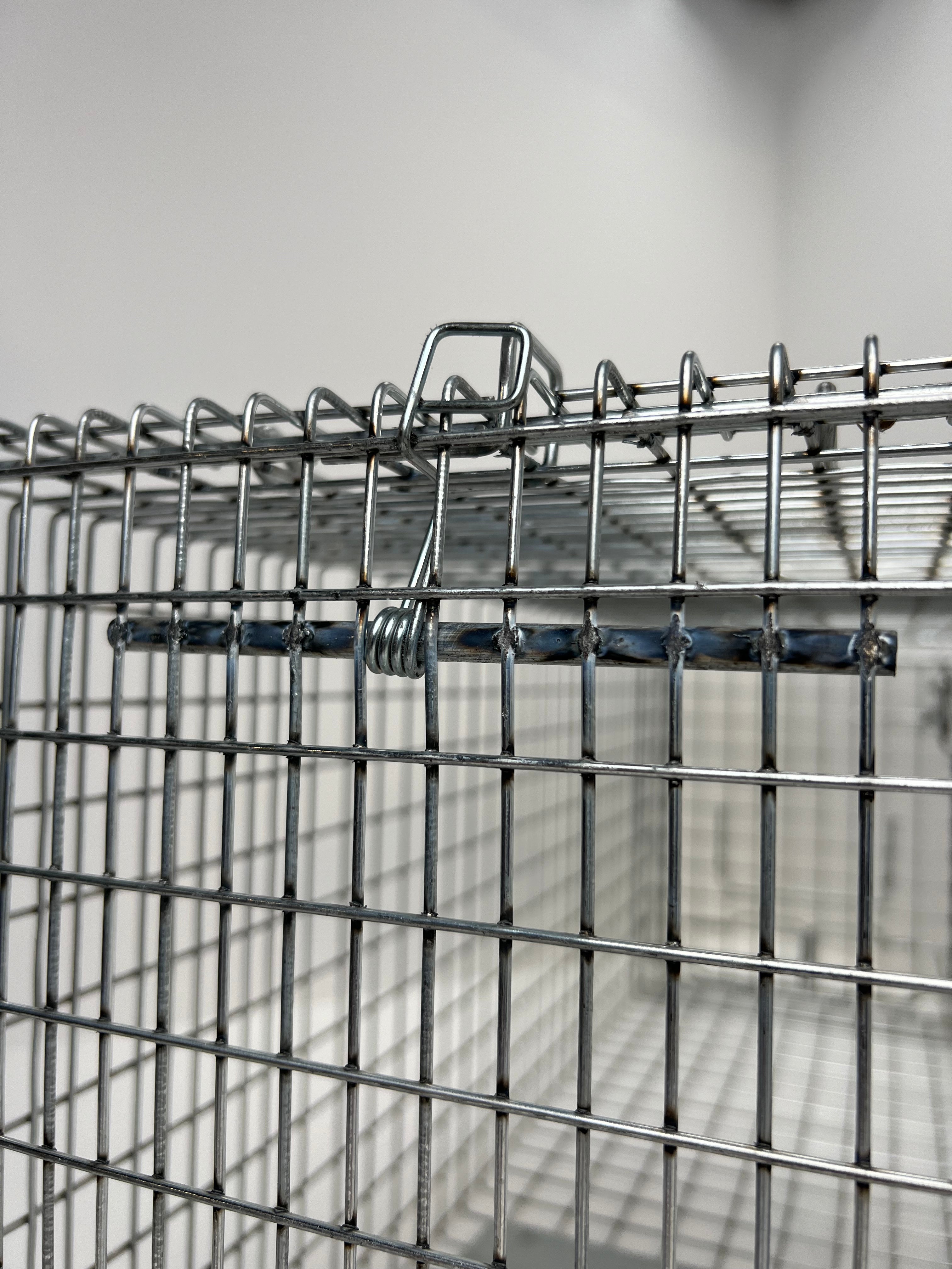 AS30 Auto-Set Cat Trap, 30"x10"x12" Humane Live Trap