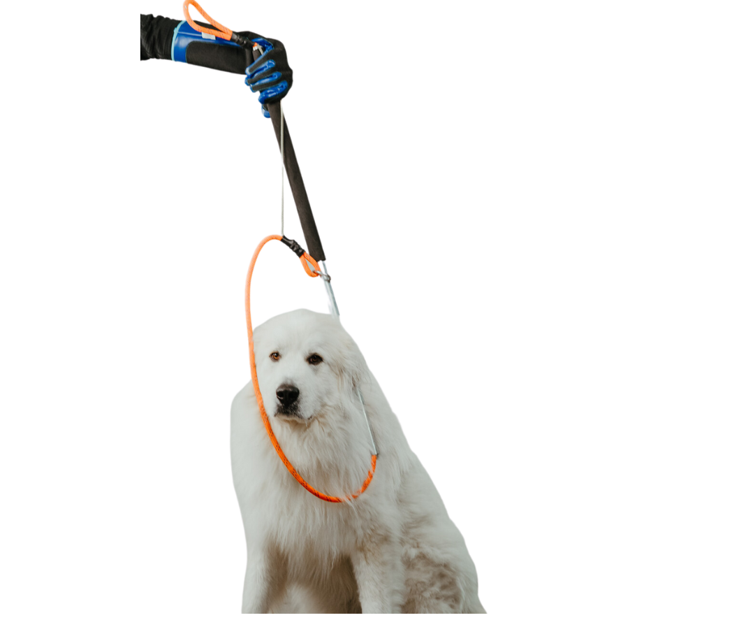 Freeman Leash Pole