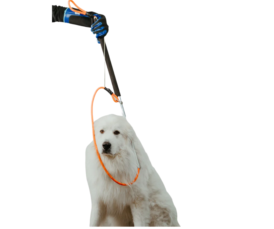 Freeman Leash Pole