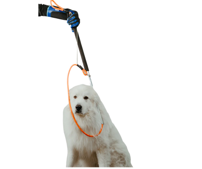 Freeman Leash Pole